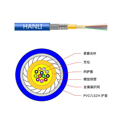 室内束状铠装光缆（GJSFJV）